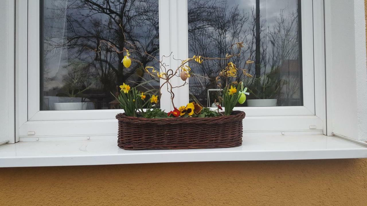 Ferienwohnung Bleicherode Екстер'єр фото